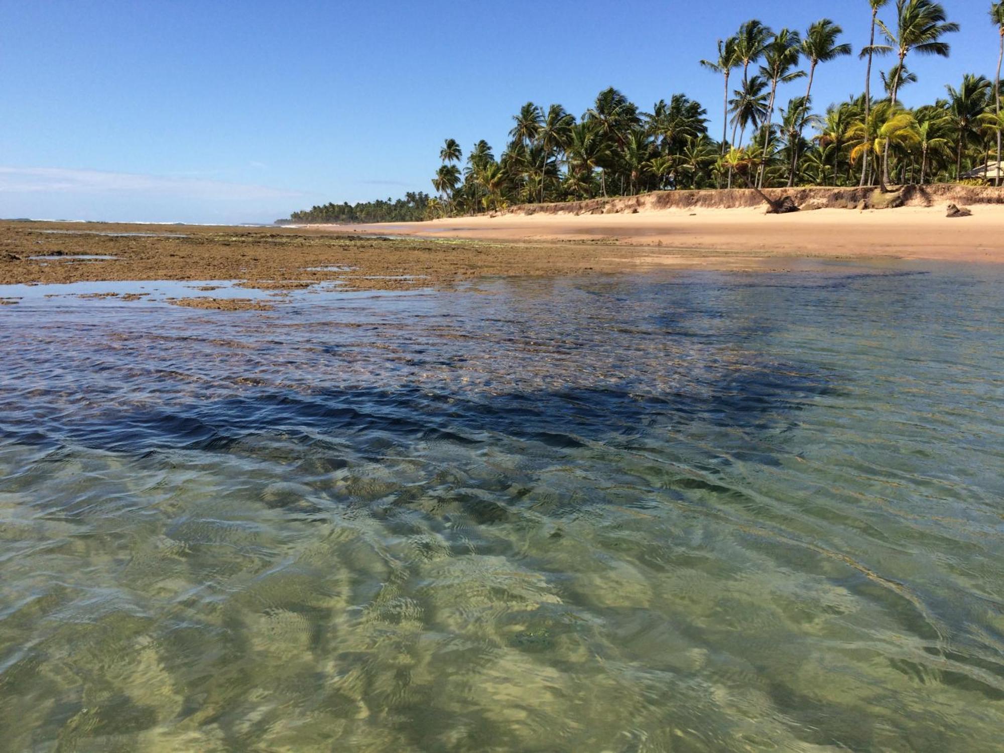 Pousada Velas E Vento - Barra Grande, Taipu De Fora, Marau Barra Grande  Esterno foto